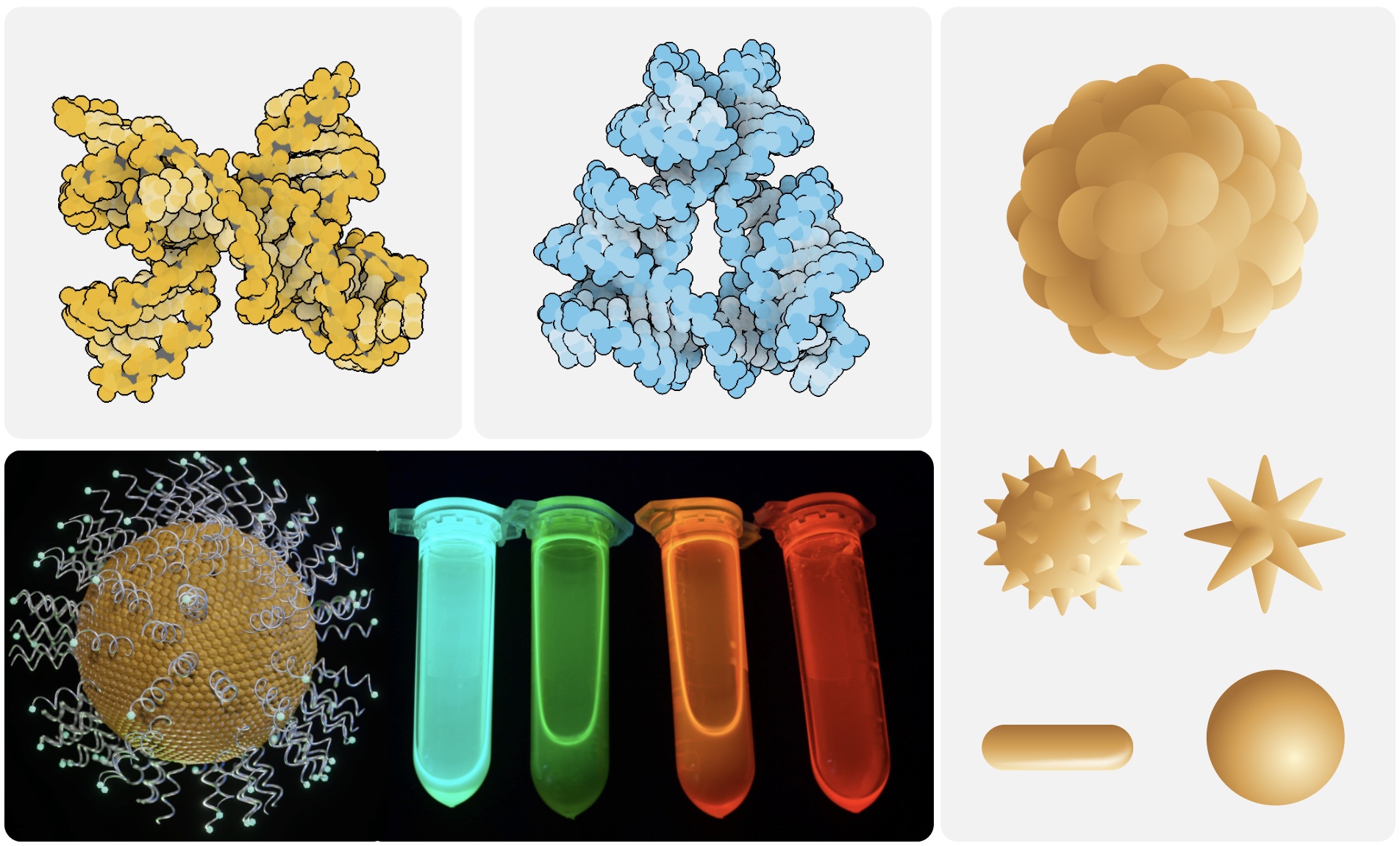 Molecular Engineering/Bio-Nanotechnology